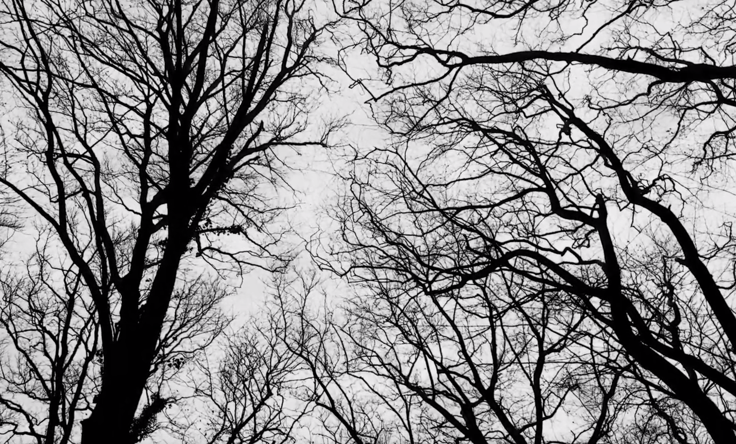 Good Definitions: Embodying Autism through Film Poetry